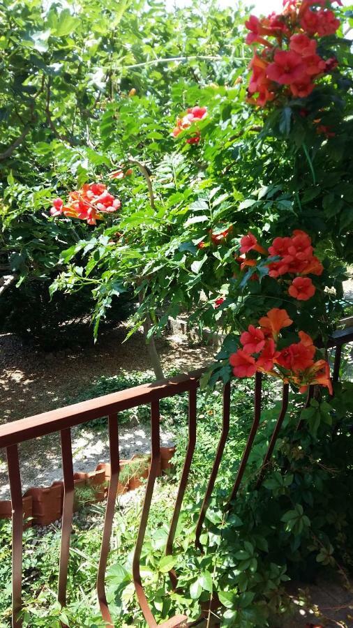 Apartmani Ivanka Makarska Bagian luar foto