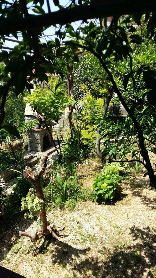Apartmani Ivanka Makarska Bagian luar foto